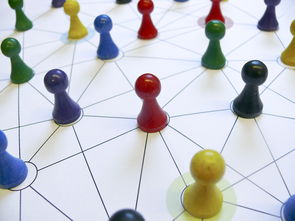 九游网页版官网入口-中国篮球教练员专业能力提升路径，篮球教练员的专业技能包括哪些方面